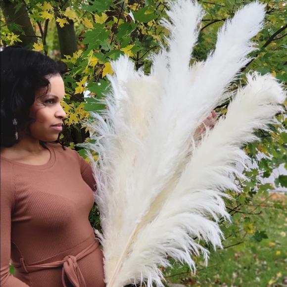 Tall 4 feet pampas grass, white, cream or grey fluffy and beautiful. All natural - Picture 3 of 5